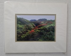 Lot of Hawaii Matted Photo Prints – Big Island Landscapes & Puna-tic Productions
