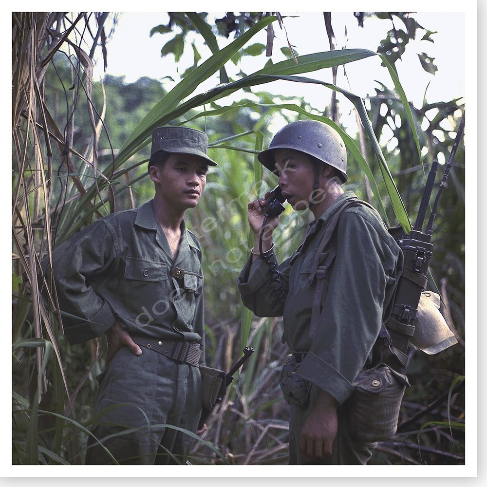 Vietnam War Vietnamese Army Personnel Training In The Jungle Silver Halide Photo