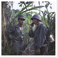 Vietnam War Vietnamese Army Personnel Training In The Jungle Silver Halide Photo