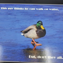 PHOTOGRAPHY Art MEME Prints Lot 3 Humorous Animals Nature Photos – HW029