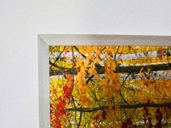 Rodney Lough Jr The Big Birch Forest Giclée Rocks National Lakeshore Michigan