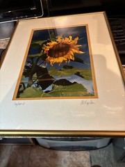Vintage Framed Barry Kaplan Sunflower II Framed Photograph Dated 1995
