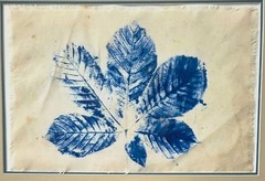 Framed Large-Format Cyanotype Sun Picture on Cloth – Poplar Leaf