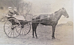 Heritage Private Photo circa 1905! Men in Tiny Carriage on Horse PONY TRAP Single Chip