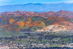 Landscape photography print California Poppies, photo nature wall decor