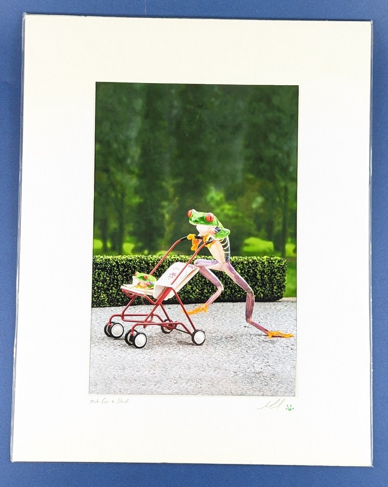 Steven Daniel Adventures Of A Tree Frog Photography Out For A Stroll Nursery Art