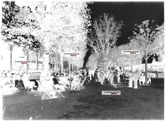 Vittel Vosges, France, Glass Plate Photos, Lot Of 5 Negatives 13×18 Cm