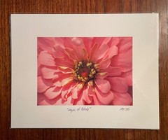 Original photographic print «Layers of Petals» by Michael Blumenstock