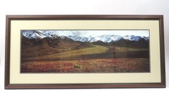 Thomas D. Mangelsen «After The Ice Age» Grizzly Color Photograph 26.5″ x 57.25″