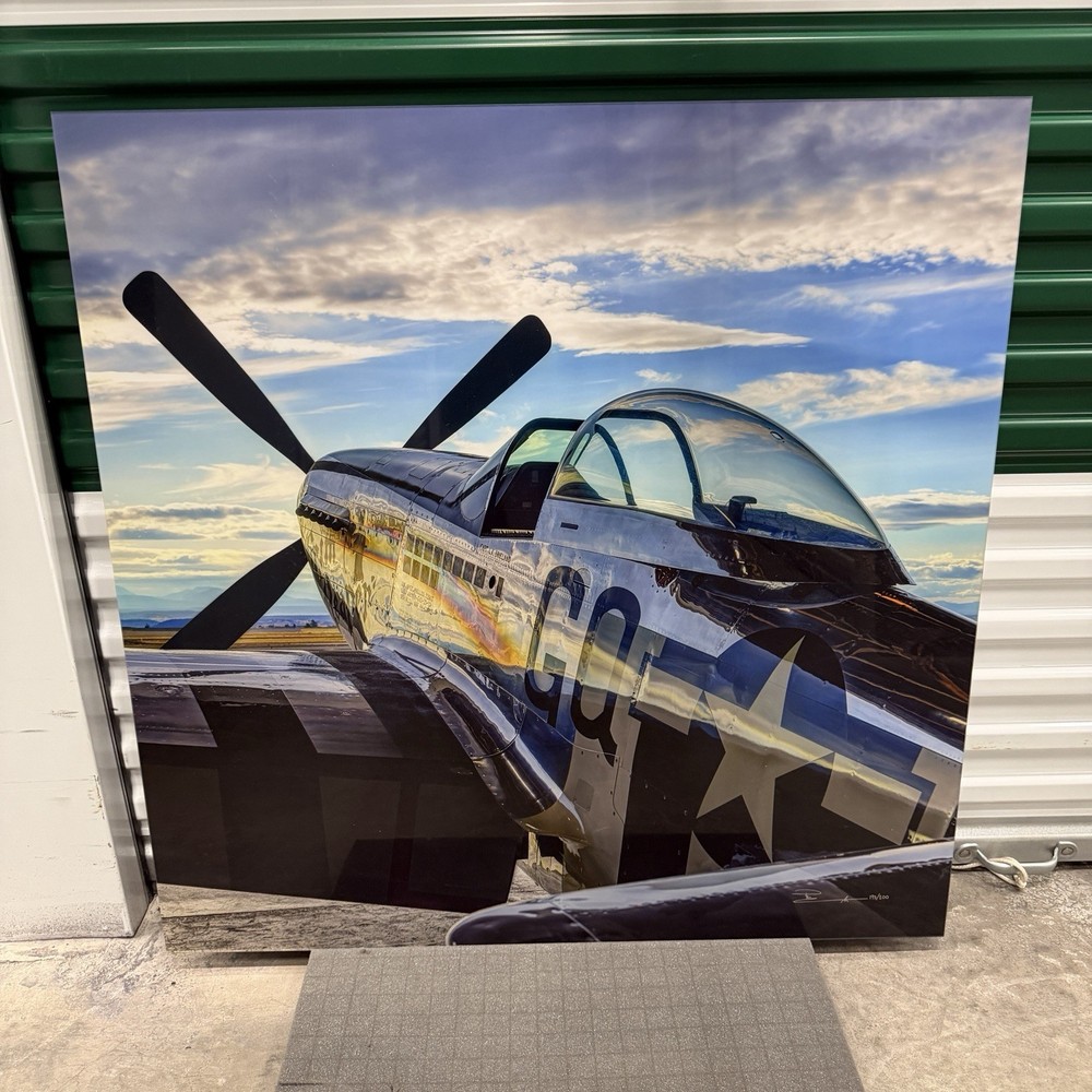 Peter Lik «Mustang» Airplane Aviation 1M Picture with COA