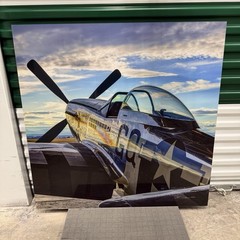 Peter Lik «Mustang» Airplane Aviation 1M Picture with COA