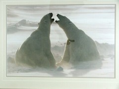 Thomas D. Mangelsen WIND SONG Polar Bears Hudson Bay Photograph 20″x30″ 104/1200