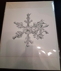 MIKE & DOUG STARN TWINS ‘Sno6_005.1 (Snowflake)’, 2005 SIGNED Photograph **NEW**