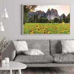 Yosemite Valley Sunflowers, Wildflowers in The Meadows, Yosemite National Park