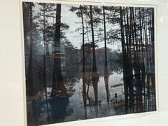 DAVID H GIBSON Photography EARLY Signed Photo CADDO LAKE 1974 ~ LARGE 19″ by 15″