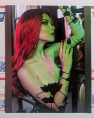 Poison Ivy 8×10 Photo Print Sexy Model Picture Cosplay DC Comics Onlyfans