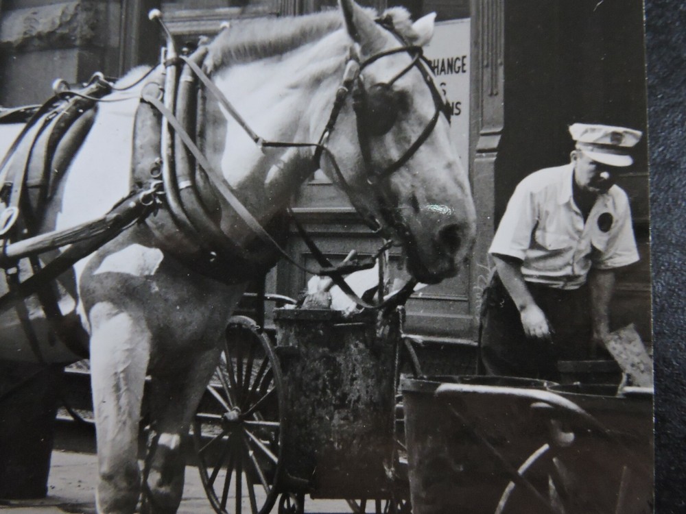Signed 1939 7×8″ NYC Sanitation & Horse New York City PHOTO LEAGUE Joe Schwartz