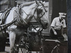 Signed 1939 7×8″ NYC Sanitation & Horse New York City PHOTO LEAGUE Joe Schwartz