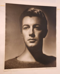 LARGE HURRELL SIGNED 16 X 20 ROBERT TAYLOR PORTRAIT HANDSOME HOLLYWOOD GLAMOUR