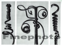 1929 Original KARL BLOSSFELDT Vintage BOTANICAL PLANT Tendril Vines Photo Art