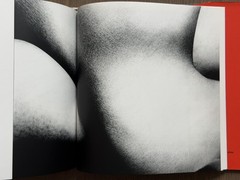 RARE 1977 First Edition Eikoh Hosoe “Embrace” Japanese Photobook Asahi Sonorama