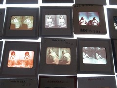 Vintage 1940’s 35 Female Pin-up Slides 35mm Single Slide Stereooptic cl