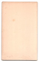 Photograph A. Person, Lahr, Schillerstr. 21, lady in white dress with curls vo