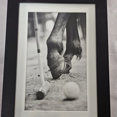 Framed B&W Photo Print Polo Hooves Luxury Real Estate Office 10.2″× 14.1″ READ⬇