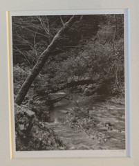 Photo B & W Photography by Rick Lang 1993
