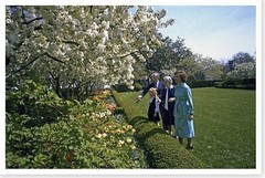 Jimmy Carter Rosalynn Amy And Allie Smith Admire Rose Garden Silver Halide Photo