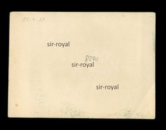 Four Women in Nature 1931 – Coloured Coloured – 1930s – Photo 12x9cm