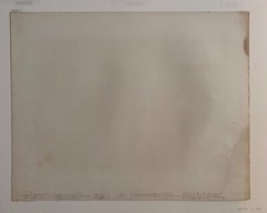 EADWEARD MUYBRIDGE authentic 1887 collotype ANIMAL LOCOMOTION PLATE 402 – lewitt