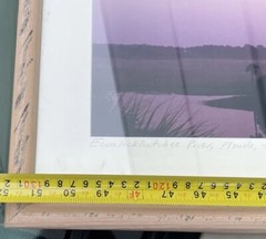 Panoramic Framed ECON Top Econlockhatchee River Florida Steve Vaughn 52:11’