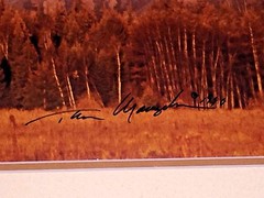 T. MANGELSEN ORIGINAL «CHANGING SEASONS» PHOTOGRAPH SIGNED 220/950- 21″ x 17″