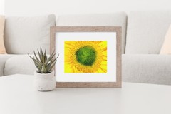 «EYE OF THE SUNFLOWER» 4×6 » MATTED AND FRAMED PHOTO PRINT, READY TO HANG