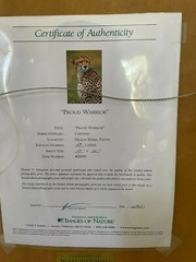 Wildlife Photography – Proud Warrior by Thomas Mangelson with COA