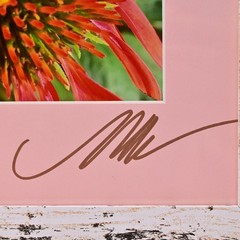 MICHAEL RAY Original Vintage Signed Long Island NY Floral Still Life Photograph
