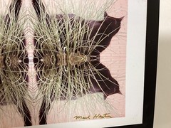 Cat Photography refleted Cats In Grass On Metal Easel Stand 5” X 7”