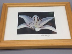 Pair of WALL ART Framed, Signed & Matted Floral Photographs B.A. Schmeding 6/99