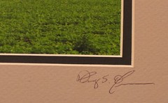 ART SIGNED PHOTOGRAPH COLOR FARM FARMHOUSE BARN
