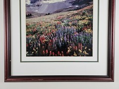 Signed Limited Edition Aaron Goldenberg 35mm Art Photograph, Utah 39×24 Framed