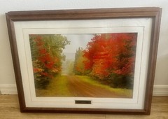 Vintage Paul Sundberg “Back Country Road”Photograph Framed Art Fall Autumn Trees