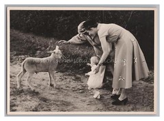 2 Women and Child Petting Lamb – Sheep Animal Leisure – Vintage Photo