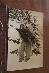 Great old photo-pretty woman and person in polar bear costume-50s-60s?