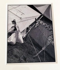 Estate Stamped MAGNUM SQUARE PRINT Mary Ellen Mark «Madona the Giraffe» 1998