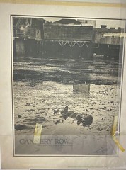 Tom Weber’s Cannery Row Sea Otter Photography.