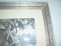 Signed photo winner mare Karpfhamer folk festival 1953 broodmare in frame!
