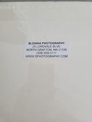 Photography Print By John T Slonina Matted 8×10 «Snow Leaves»-Read Description