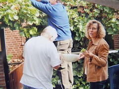 «VINTAGE»: PHOTOGRAPH, PHOTO, HOUSE, GARDEN, GRAPES, HARVEST, HOBBY, PEOPLE!