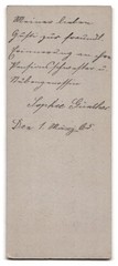 Photograph C. Hartmann, Ilmenau / Thuringia, pretty woman in white dress in na